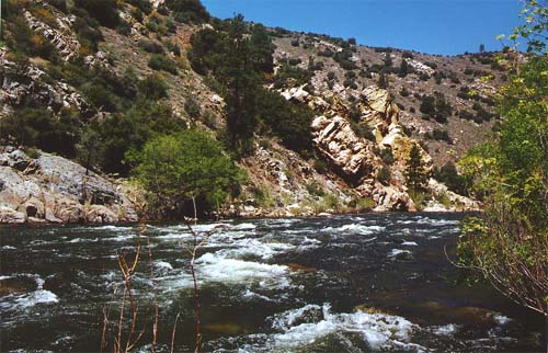 Small rapids in the river Kern